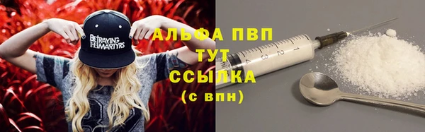 индика Каменск-Шахтинский