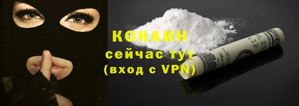 индика Каменск-Шахтинский
