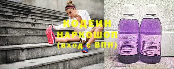 индика Каменск-Шахтинский