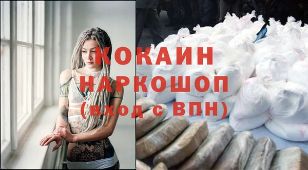 индика Каменск-Шахтинский