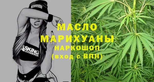 индика Каменск-Шахтинский
